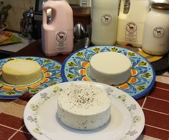 Queso finas hierbas